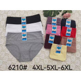 Плавки жен (4XL-6XL) (прод по 6) 6210 малина