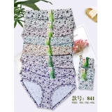 Плавки жен (4XL-6XL) (прод по 6) 841 фиолет