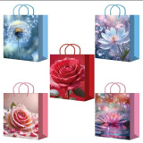 Подарочный пакет ламинированный 11*14 (S25 113-117) (прод по 10)*200 0092 ПБР63598