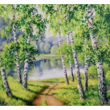 Картина рисование по номерам 40х30 KTL 3310 березовая роща