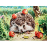 Картина рисование по номерам 40х30 KTL 3993 еж с яблоками
