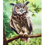 Картина рисование по номерам 40х30 KTL 3396 филин