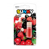 Ароматизатор воздуха Подвес Sunny 