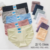 Плавки жен (4XL-6XL) (прод по 6) T866 беж